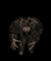 brute's avatar